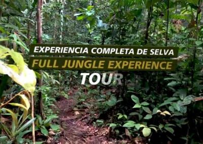 Full Jungle Experience Tour Promo