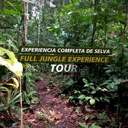 Full Jungle Experience Tour Promo