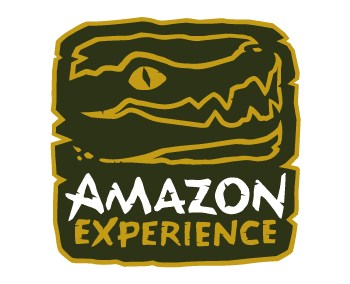Amazon Experience Tours